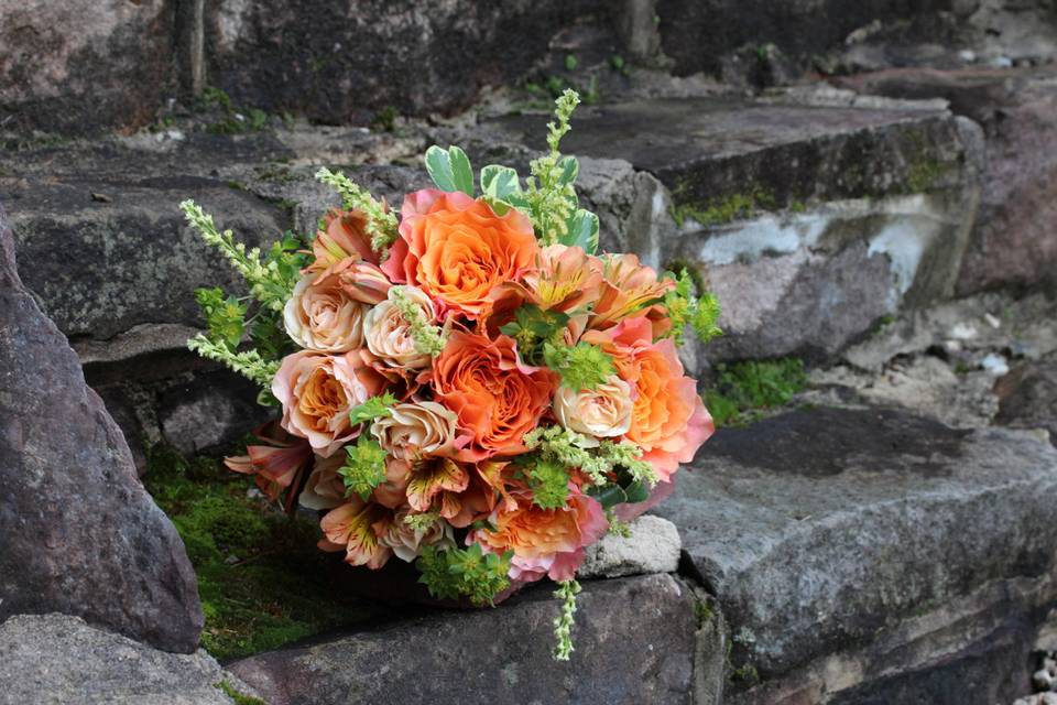 Orange flowers