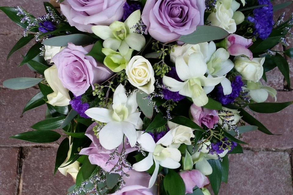 Lavender roses