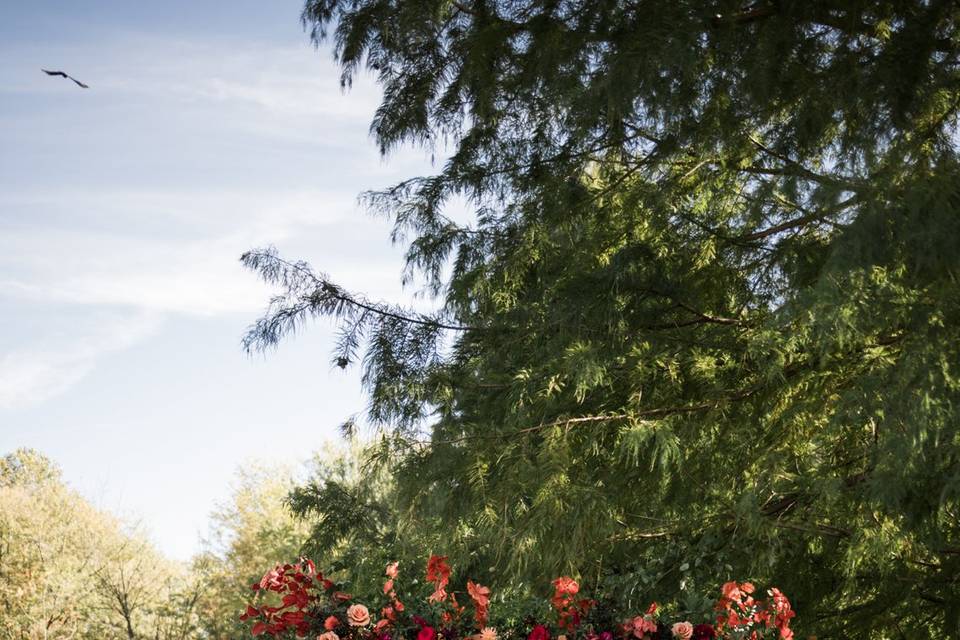 Blossom Bliss Florist