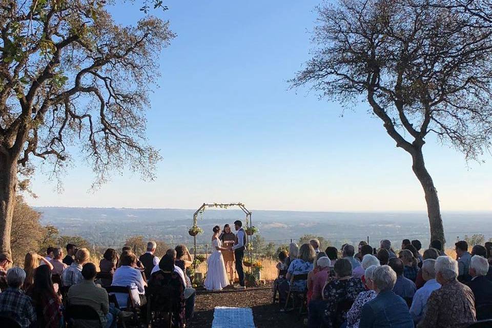 Backyard bridal party