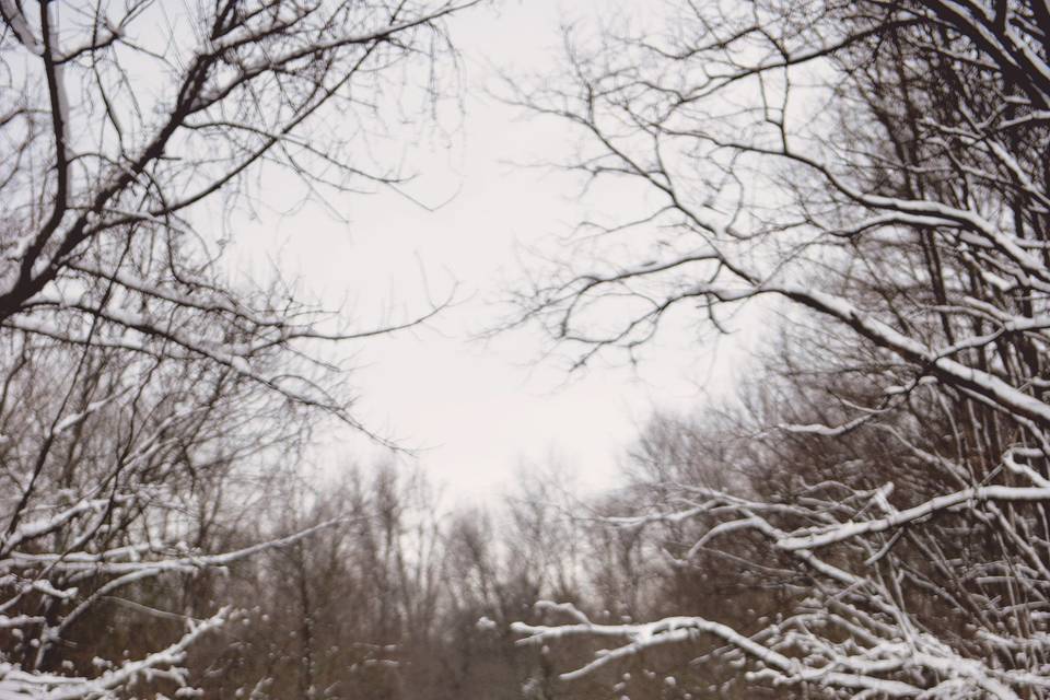 Snowy day - Dolce Vita Photography