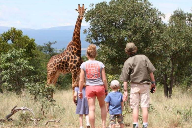 On safari