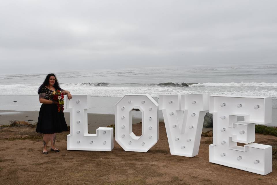 Cheryl Bariel Wedding Officiant