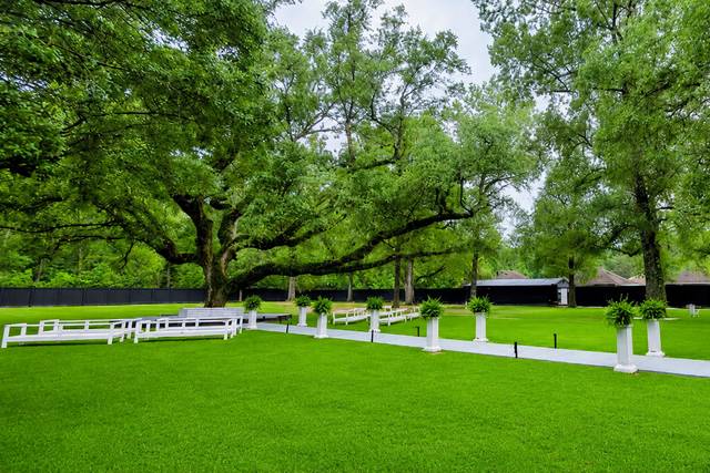 Fresh, New Sod