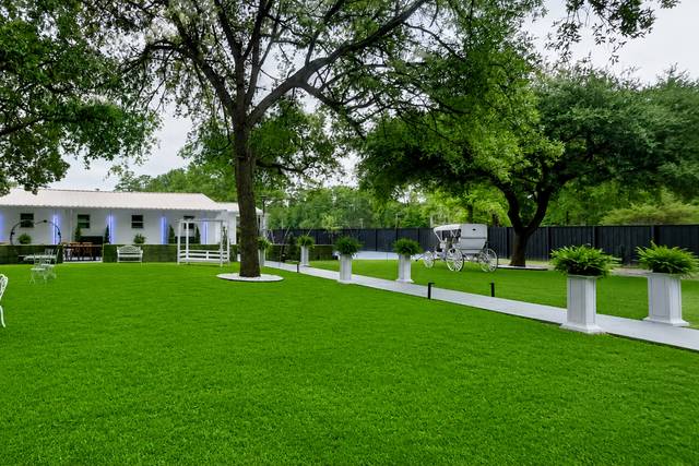 Fresh, New Sod