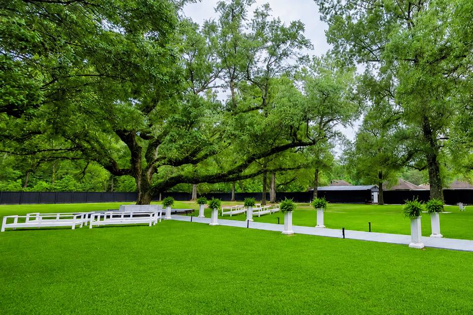 Fresh, New Sod