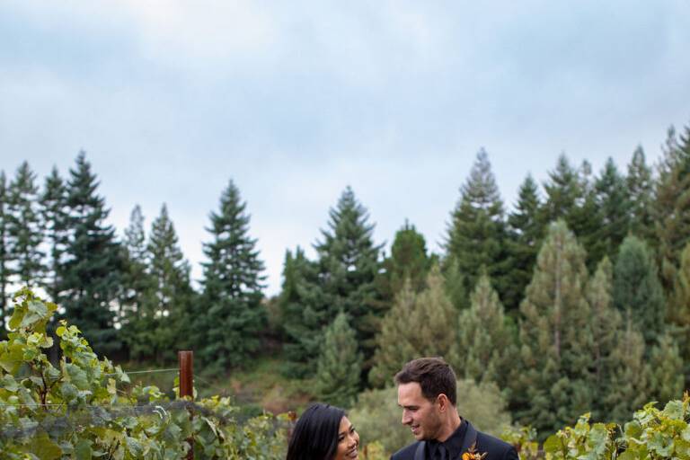Wedding couple in vineyard