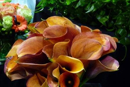 Cala Lilly bouquet
