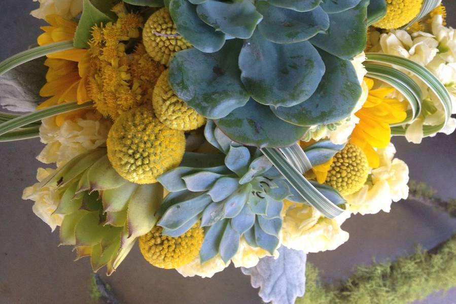 Yellow succulent bouquet