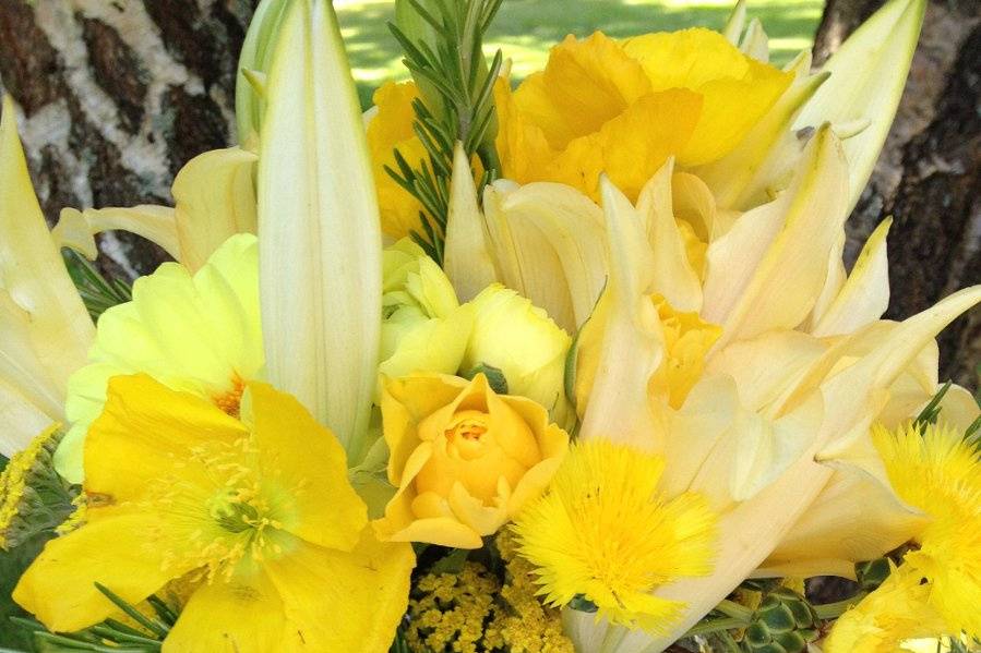 Yellow tulip arrangment