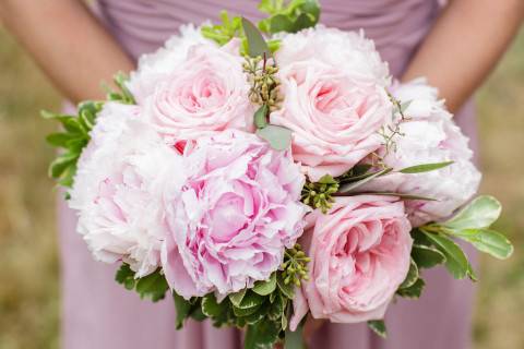 Pink and Blush Peony flowers