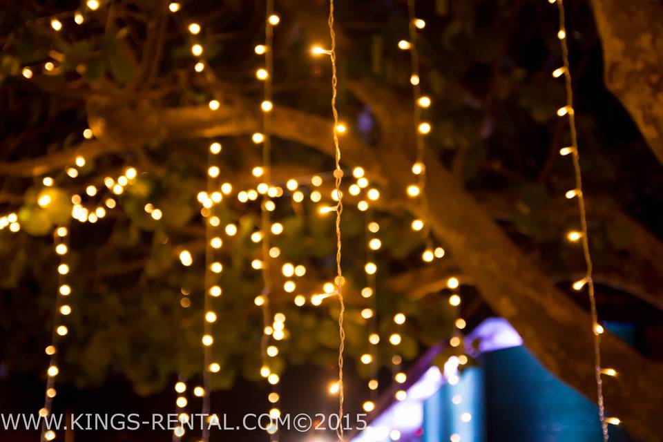 Fairy lights - Avatar tree.
