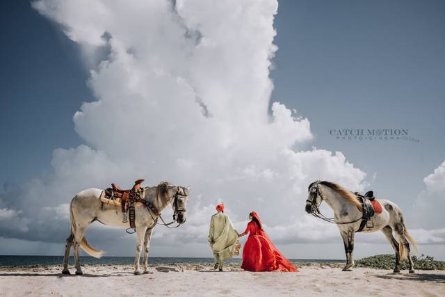 Destination Wedding Punjabi