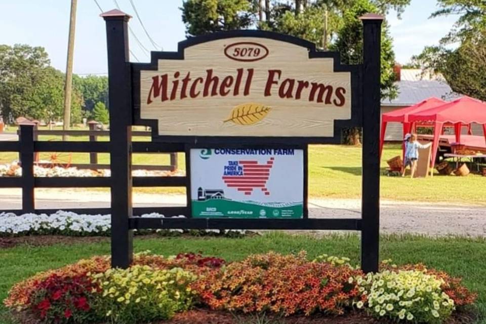 Mitchell Farms!