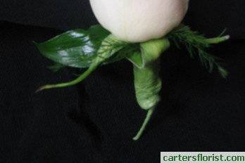 Carter's Florist