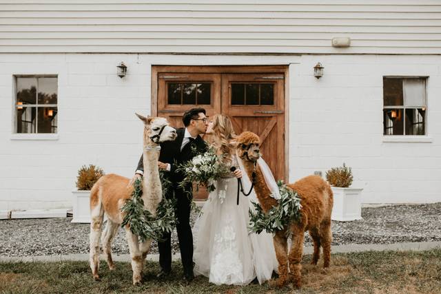 NYC Wedding Photographer