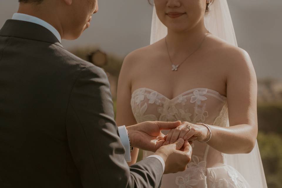 Sylvia Mary Photography, LLC