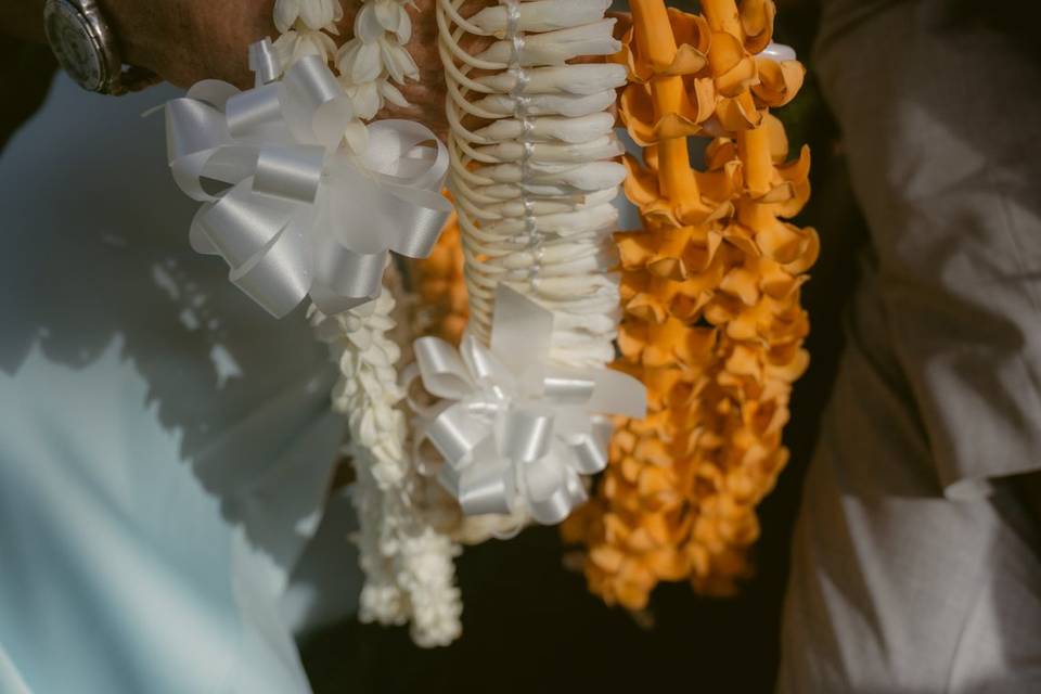 Sylvia Mary Photography, LLC