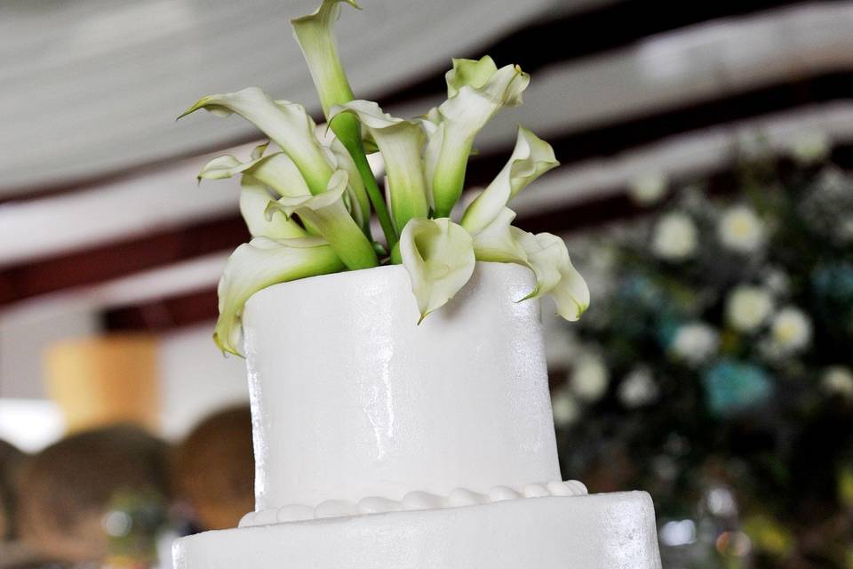 Two layer wedding cake