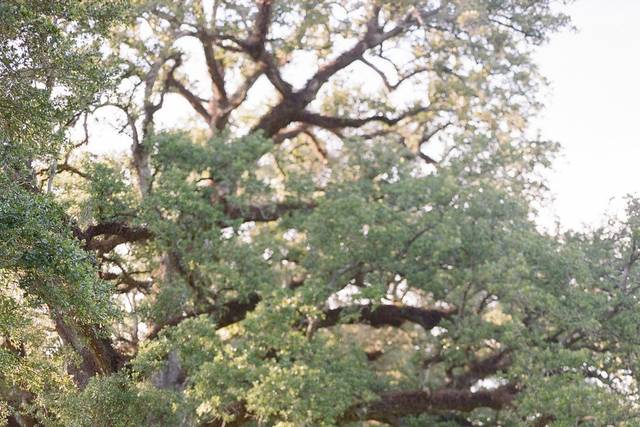 Photography by Erika Parker