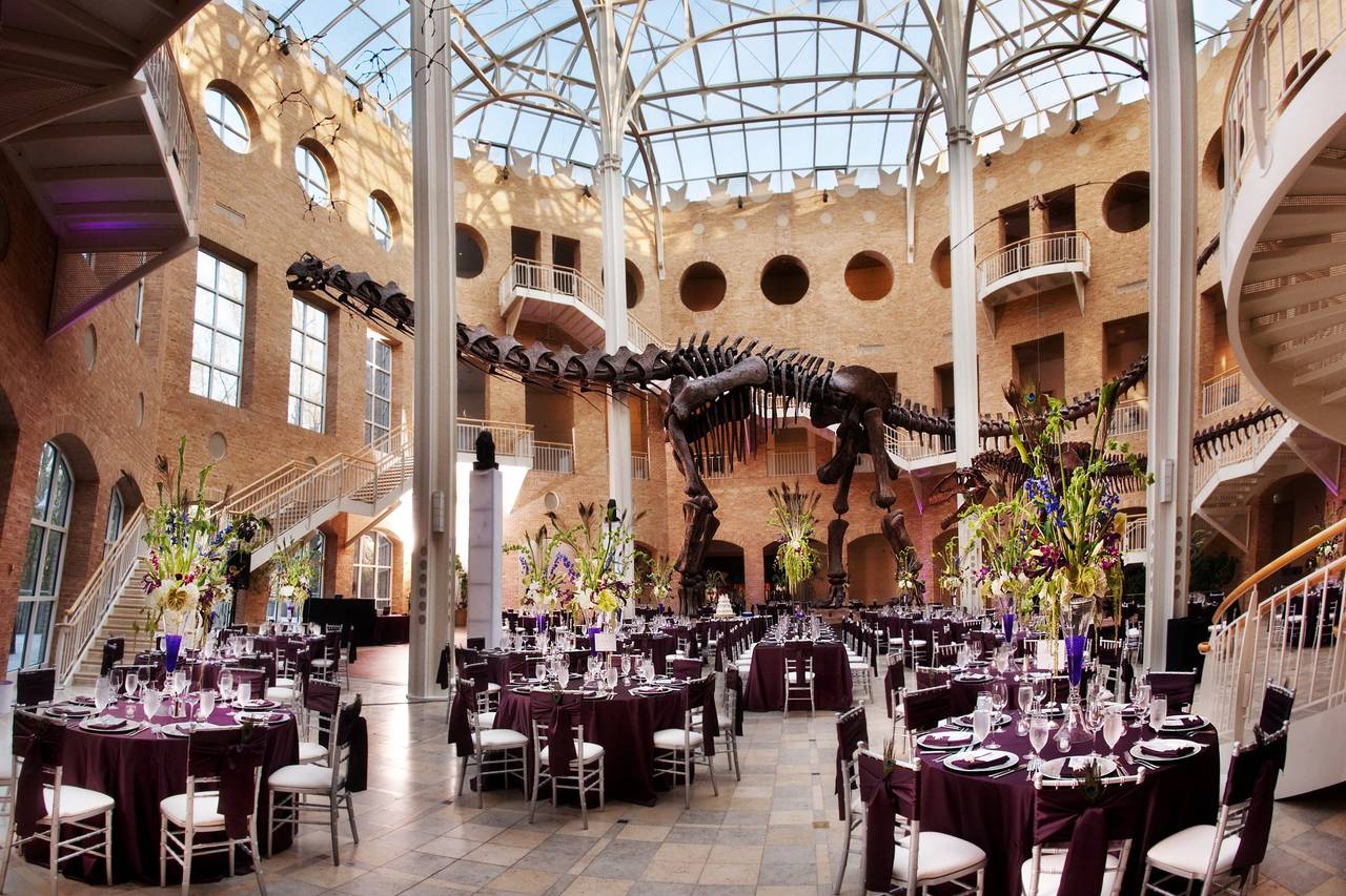 fernbank-museum-museum-weddings-atlanta-ga-weddingwire