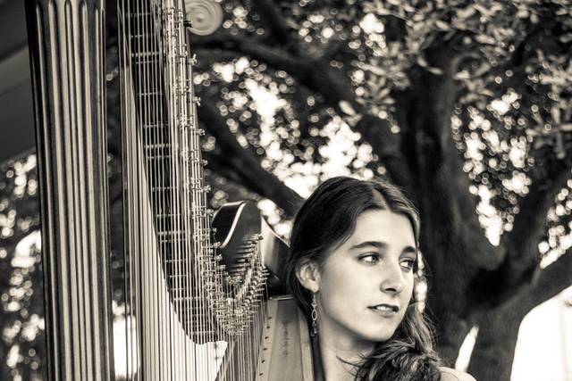 Abigail Sliva Harp