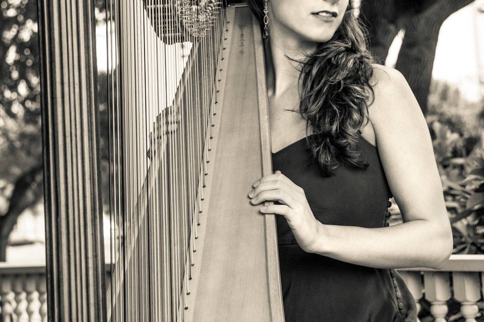 Abigail Sliva Harp