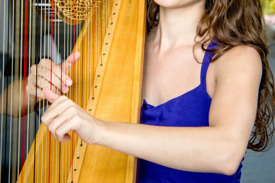 Abigail Sliva Harp