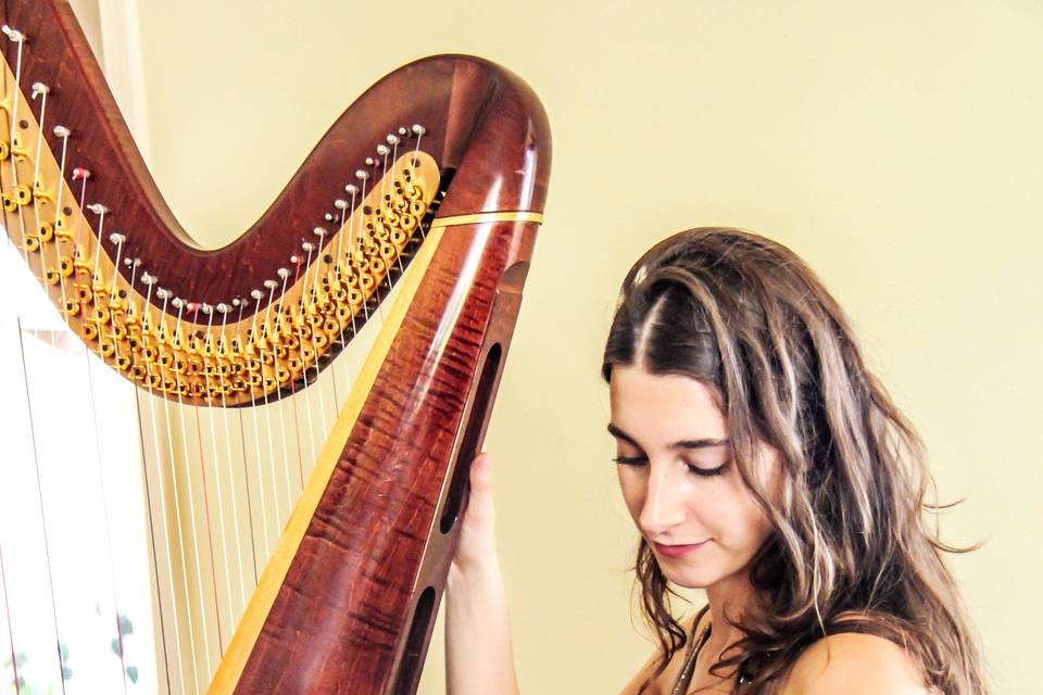 Abigail Sliva Harp