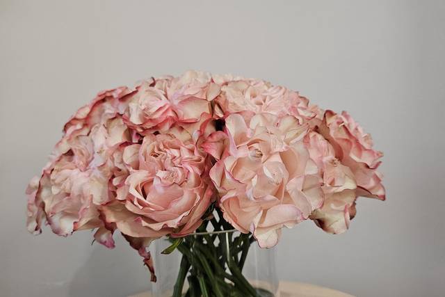 Low Centerpiece