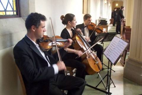 TriState String Quartet