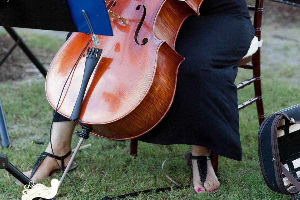 Jeannine Cavaliere