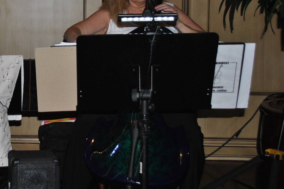 Jeannine Cavaliere