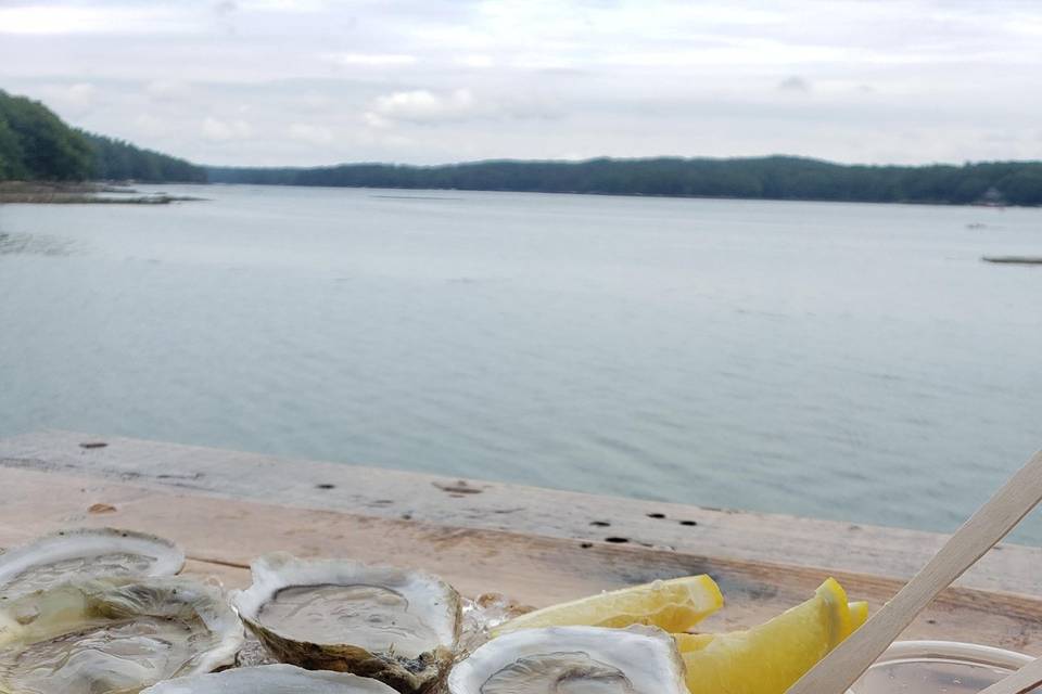 Oysters on the Farm