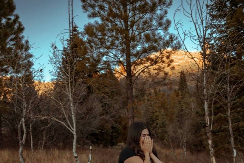 Utah Wedding Planners