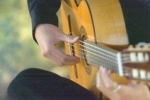 Elegant Spanish Guitar, Miguel de Maria