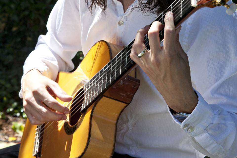 Elegant Spanish Guitar, Miguel de Maria