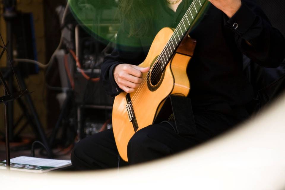 Elegant Spanish Guitar, Miguel de Maria
