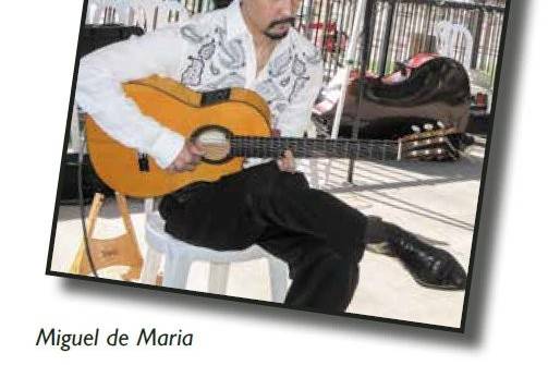 Elegant Spanish Guitar, Miguel de Maria