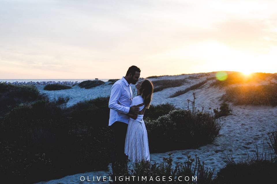 Olive Light Images