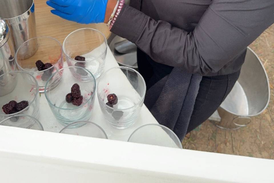 Blackberry Sidecar