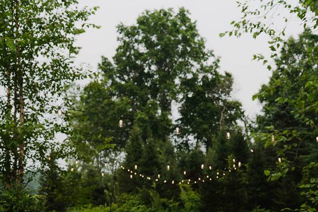 Black Birch Vineyard