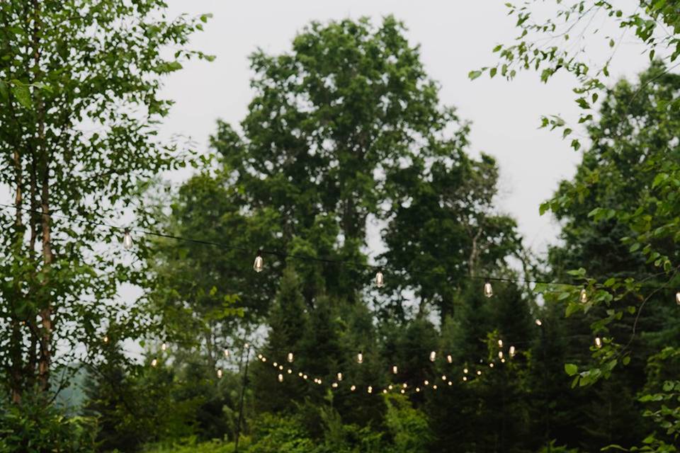 Black Birch Vineyard
