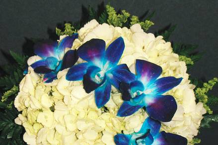 Eye-catching hydrangea and orchids display