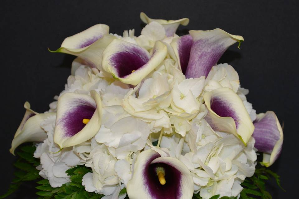 Exotic callas and hydrangea.