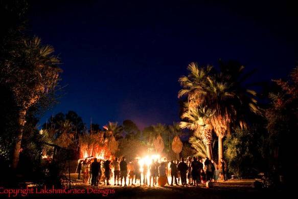 The Fire Garden