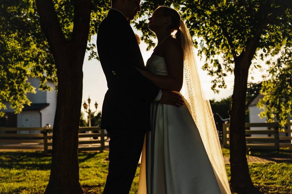 Can't forget the silhouette