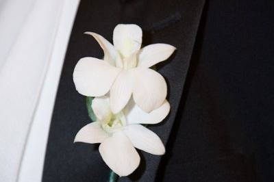 Elegant dendrobium orchid boutonniere