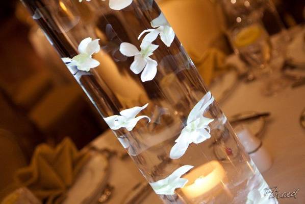 Detail of our 'floating' orchids, used as a centerpiece base. The glass cylinder is lit from below.