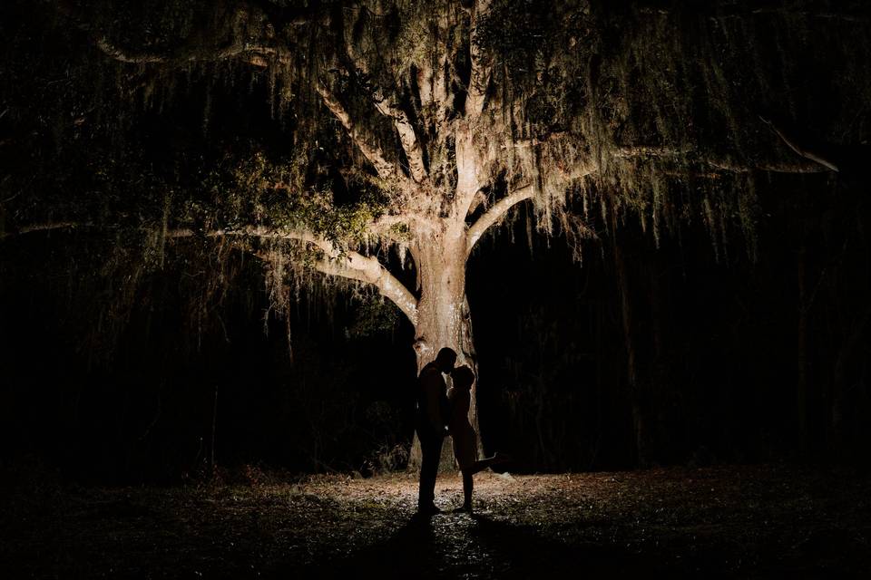 Granddaddy Oak -Cona Studio